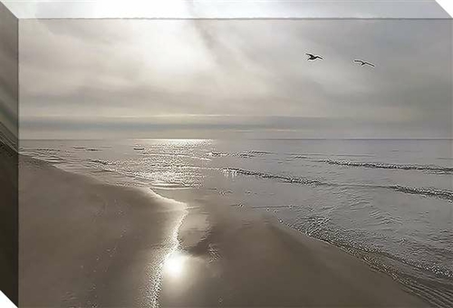 Artistic Reflections CV1144 12 x 18 in. Beach Flight Canvas Art Print