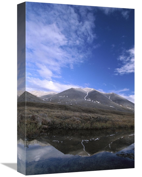 Global Gallery GCS-452994-1218-142 12 x 18 in. Sadlerochit Mountains &