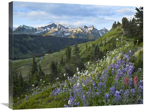 Global Gallery GCS-396790-2228-142 22 x 28 in. Wildflowers & Tatoosh R