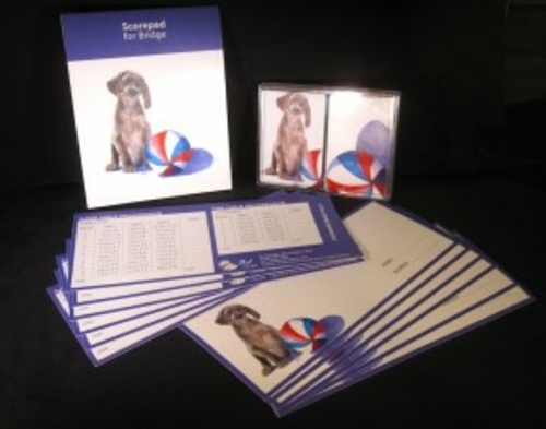 Rainbow Card Company BGS-100SA Bridge Gift Set Sammy