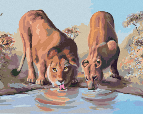 Zuty - Paint by Numbers - YOUNG LION AND LIONESS AT WATERING HOLE (D.