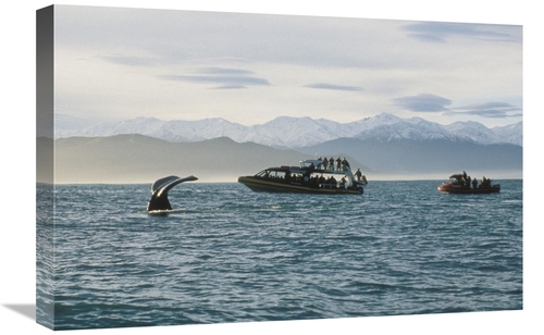 Global Gallery GCS-450784-1624-142 16 x 24 in. Sperm Whale Fluke & Tou