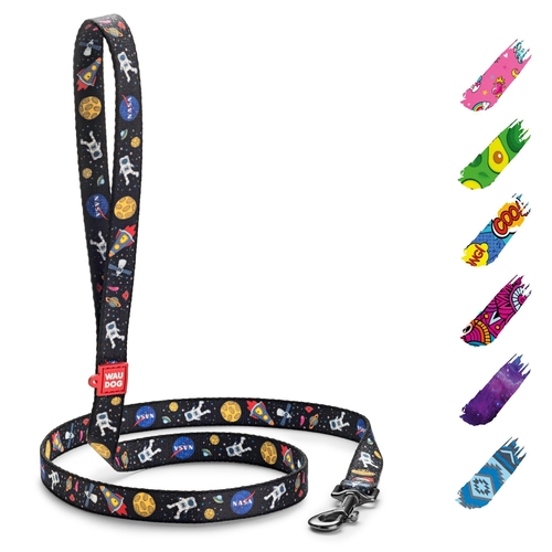 WAUDOG Nylon Dog Leash for Small Dogs and Medium Dogs 4 Ft   Strong