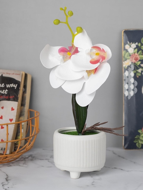 Stylish White Artificial Flowers With Pot