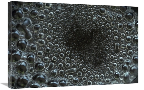 Global Gallery GCS-395556-2030-142 20 x 30 in. Water Boiling in Pan Ar