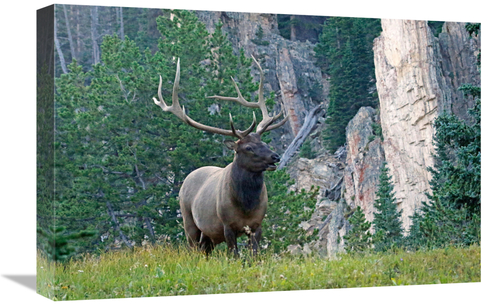 Global Gallery GCS-486500-22-142 22 in. Early Light Art Print - Vic Sc