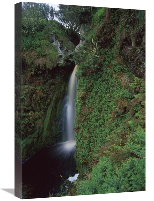 Global Gallery GCS-451818-1624-142 16 x 24 in. Waterfall Draining Rain