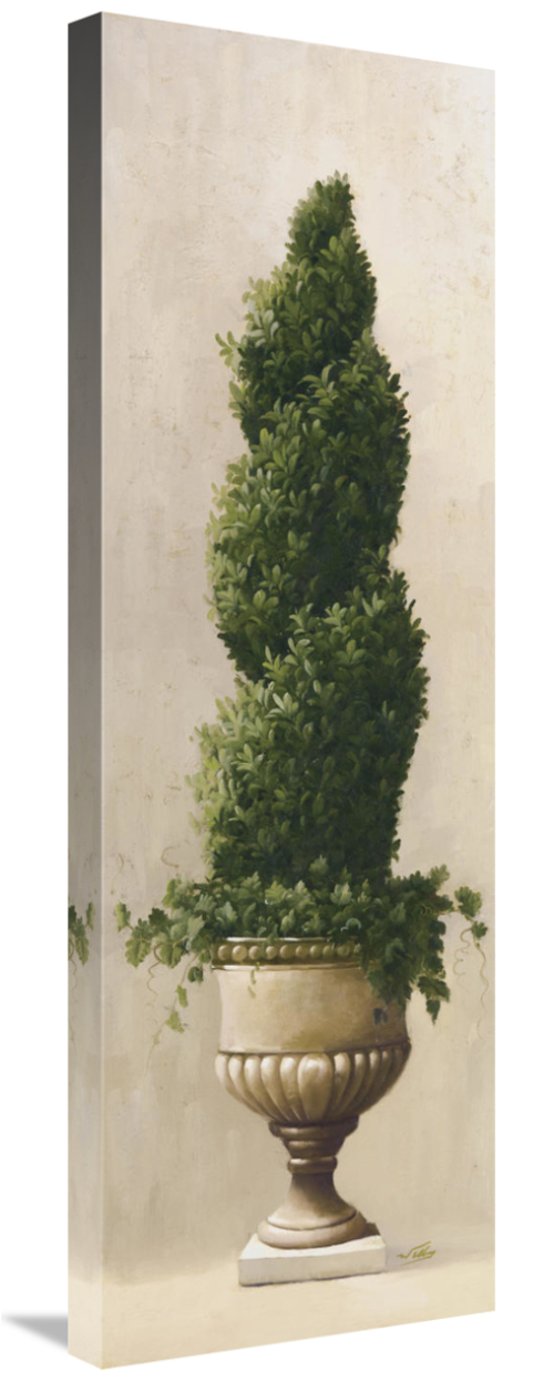 Global Gallery GCS-119342-1236-142 12 x 36 in. Roman Topiary I Art Pri