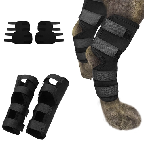 Dog Recovery Sleeve Knee Pad Large Dog Support