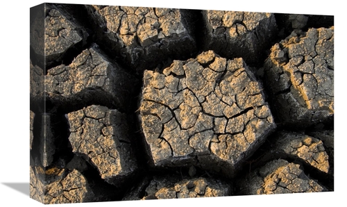 Global Gallery GCS-397438-1218-142 12 x 18 in. Cracked, Dried Out 