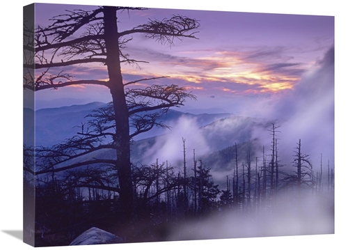 Global Gallery GCS-396954-1824-142 18 x 24 in. Rolling Fog on Clingman