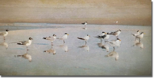 Artistic Home Gallery 1224AM276CG Coastal Reflections by Heather Jacks