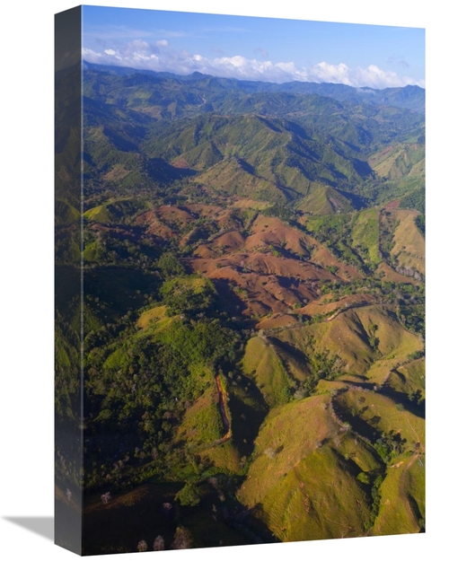 Global Gallery GCS-398560-1218-142 12 x 18 in. Lowland Tropical Rainfo