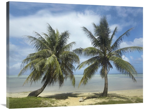 Global Gallery GCS-395980-3040-142 30 x 40 in. Palm Trees, Agana B