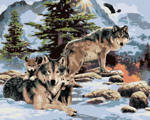 Paint by Numbers - WOLF PACK IN THE MOUNTAINS (HOWARD ROBINSON)