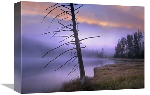 Global Gallery GCS-396370-1216-142 12 x 16 in. Yellowstone Lake, Y