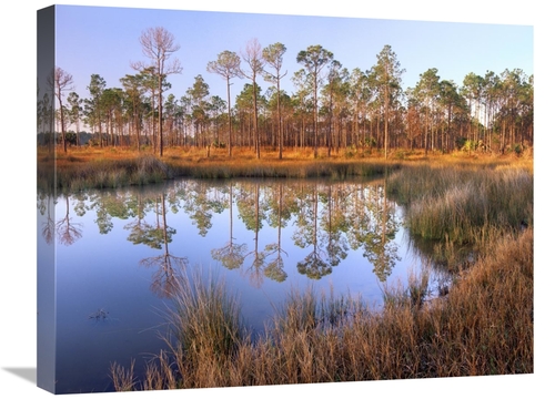 Global Gallery GCS-396637-1824-142 18 x 24 in. Pines Reflected in Pond