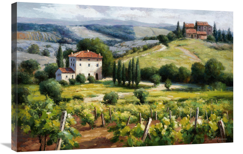 Global Gallery GCS-132520-2436-142 24 x 36 in. Vineyard Trail Art Prin