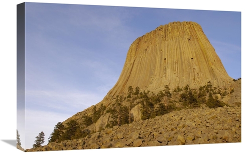 Global Gallery GCS-453110-1624-142 16 x 24 in. Devils Tower National M