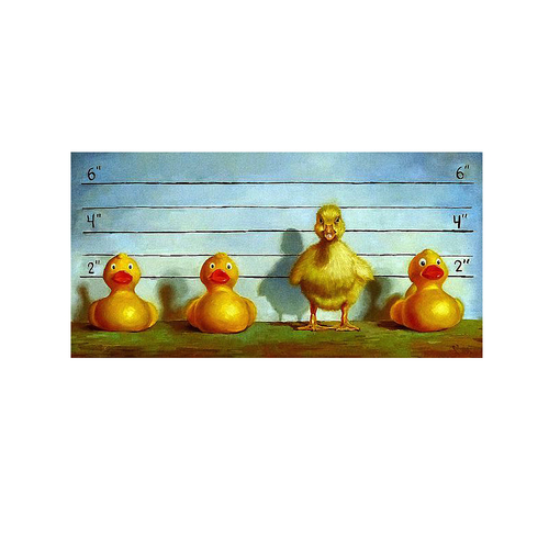 Artistic Home Gallery 1632K5692G The Big Lineup by Lucia Heffernan Pre