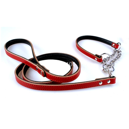 Leather Dog Leash & Half Choke Training Collar