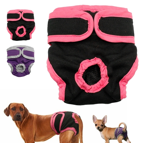 Dog Physiological Pants Puppy Cat Underwear