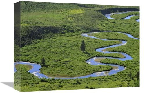 Global Gallery GCS-396312-1216-142 12 x 16 in. East River Meandering N