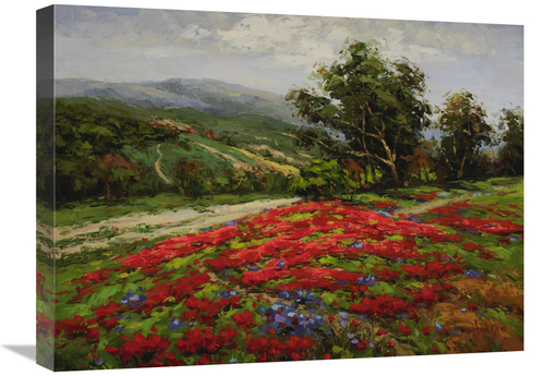 Global Gallery GCS-132576-1824-142 18 x 24 in. Meadow of Wildflower Ar