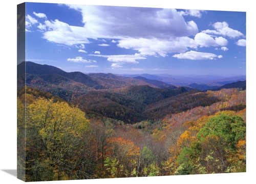 Global Gallery GCS-397158-1824-142 18 x 24 in. Deciduous Forest in the