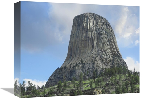 Global Gallery GCS-397169-1216-142 12 x 16 in. Devils Tower National M