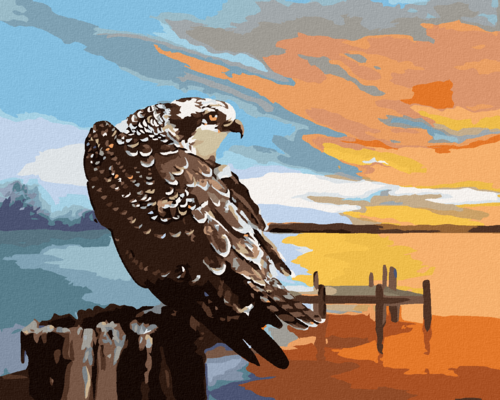 Zuty - Paint by Numbers - EAGLE, PIER AND SUNSET (D. RUSTY RUST),