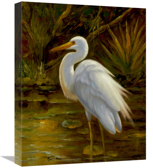 Global Gallery GCS-132585-1620-142 16 x 20 in. Tropical Egret II Art P