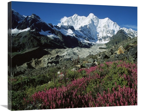 Global Gallery GCS-463210-30-142 30 in. Wildflowers & Kangshung Glacie