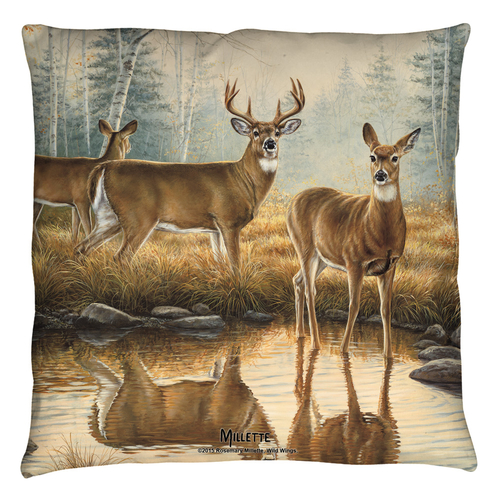 Trevco WW370-PLO3-18x18 18 x 18 in. Wild Wings & Autumn Reflections 2 