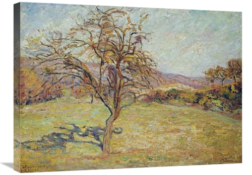 Global Gallery GCS-266465-30-142 30 in. Landscape Art Print - Armand G