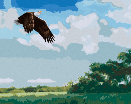 Zuty - Paint by Numbers - FLYING EAGLE (D. RUSTY RUST), 40x50 cm