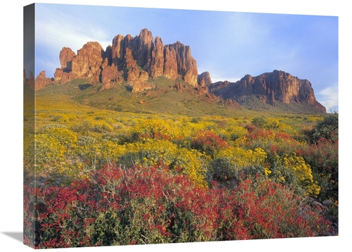 Global Gallery GCS-396483-1824-142 18 x 24 in. Chuparosa & Brittlebush