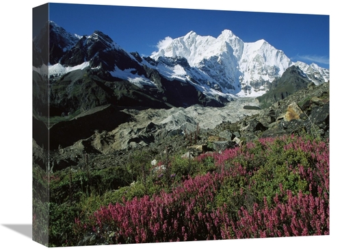 16 in. Wildflowers & Kangshung Glacier, Mt Chomolonzo in Backgroun