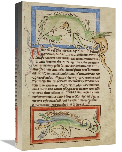 Global Gallery GCS-454769-1218-142 12 x 18 in. A Hydrus - A Hydra Art 