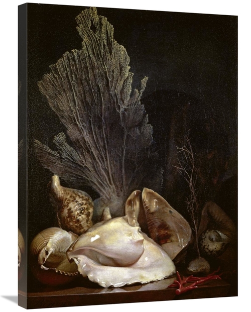Global Gallery GCS-281705-30-142 30 in. Coquillages Et Madreposes Art 