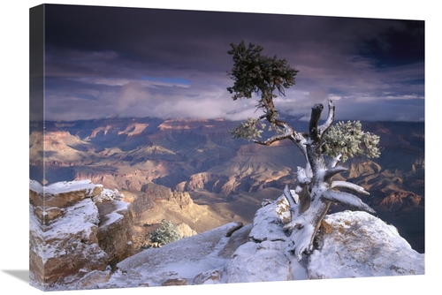 Global Gallery GCS-397177-1824-142 18 x 24 in. South Rim of Grand Cany