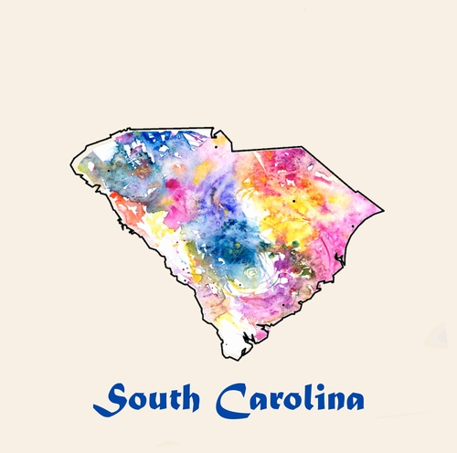 State Of S. Carolina A 3 Inch Diameter Patches