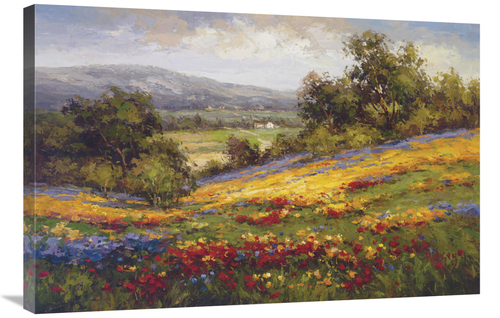 Global Gallery GCS-128431-2436-142 24 x 36 in. Campo Di Fiore I Art Pr