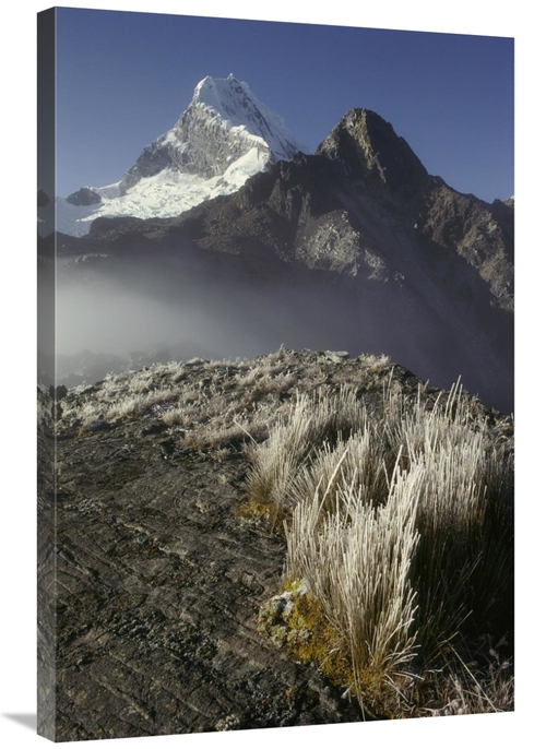 Global Gallery GCS-453523-2436-142 24 x 36 in. Frozen Grasses & Nevado