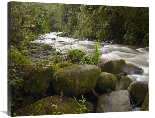 Global Gallery GCS-396289-2835-142 28 x 35 in. Mindo River Flowing Thr