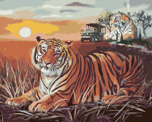 Zuty - Paint by Numbers - TIGER AND SUNSET ON THE SAVANNAH (D. RUSTY