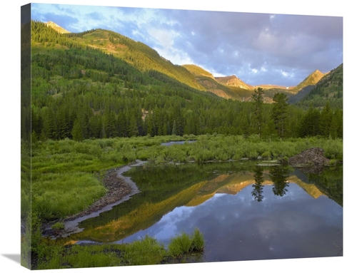 Global Gallery GCS-396636-2228-142 22 x 28 in. Pond & Boreal Forest&#4