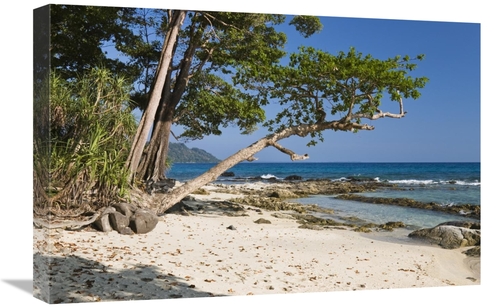 Global Gallery GCS-453651-1624-142 16 x 24 in. Coastal Rainforest,