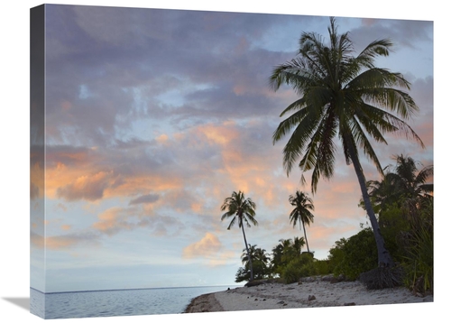 Global Gallery GCS-396640-1824-142 18 x 24 in. Coconut Palm Trees,