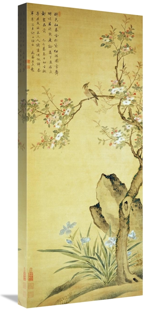 Global Gallery GCS-267595-30-142 30 in. A Bird Standing on a Peach Blo